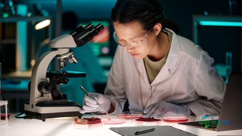 2027年德国科隆国际食品及饮料展览会：探讨培养肉伦理与环境影响