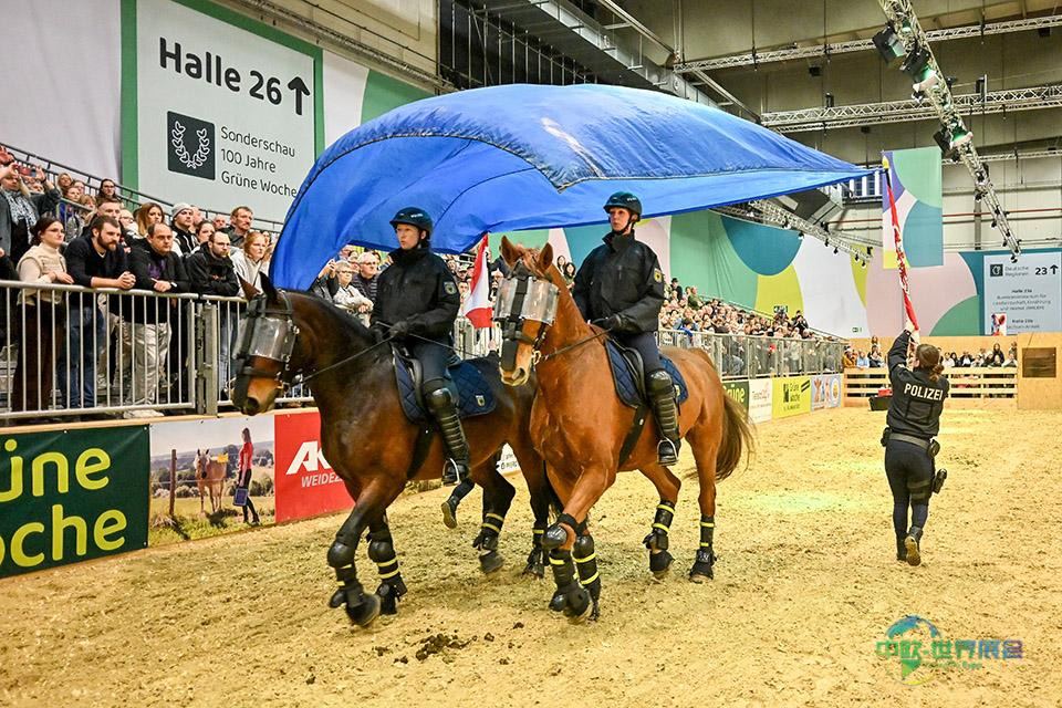 联邦警察展示其骑警部队的训练内幕。