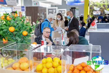 2026年莫斯科食品展展位费用与申请指南