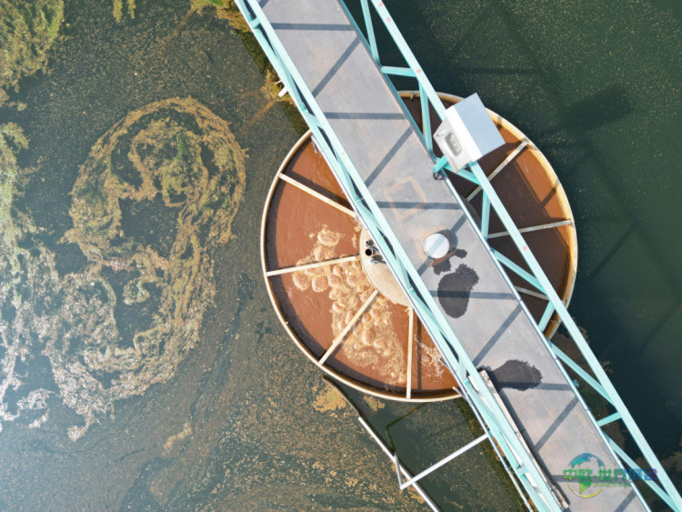 AQD-water-quality-pexels-700x394
