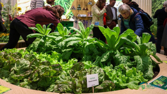 从牧场到未来拖拉机：23a展厅的BMLEH