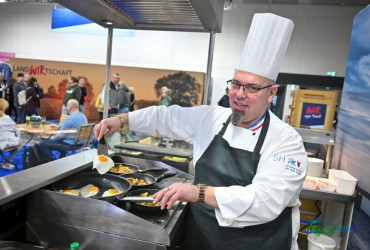 下萨克森与石勒苏益格-荷尔斯泰因：经典传统碰撞创新理念