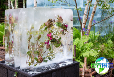 2026英国花卉展电子会刊