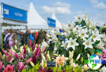 2026年英国花卉展览会展品范畴