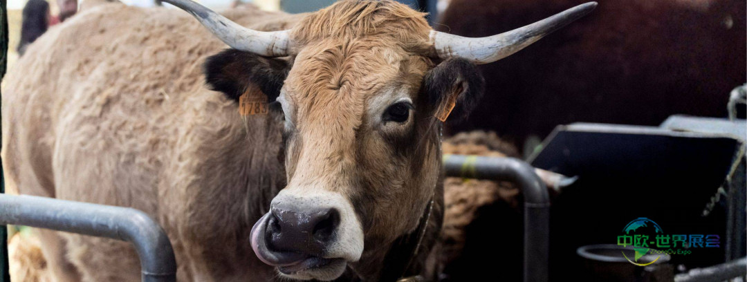 2026巴黎国际农业展览会如期举行