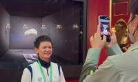 进博会上体验博物馆级别的展览是怎样的感受？