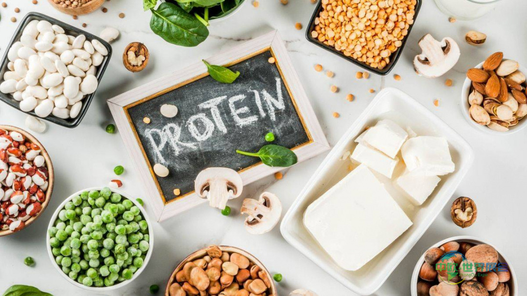 2027年德国科隆国际食品及饮料展览会--聚焦替代蛋白变革