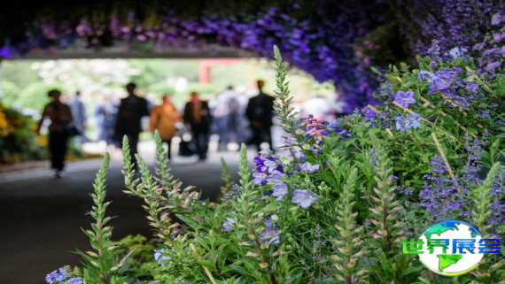 2026年英国花卉展览展位费用与展位分布图