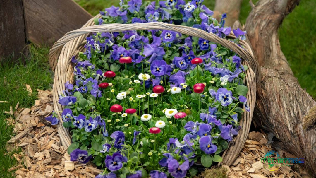 2026年德国莱比锡休闲消费博览会推出专家论坛 - HAUS-GARTEN-FREIZEIT