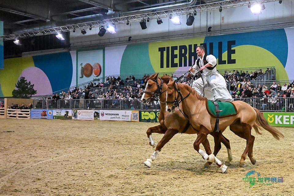 诺伊施塔特国立种马场的米夏埃尔·迪塞道正驾驭达米安与多里安进行“匈牙利邮政”表演