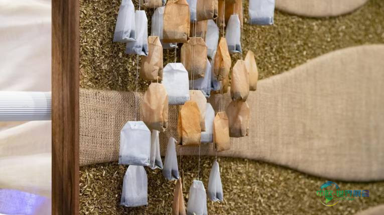 德国汉诺威国际地面材料展览会 DOMOTEX 2026圆满落幕