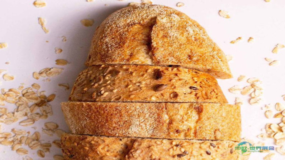 2025年塞尔维亚贝尔格莱德食品展圆满结束