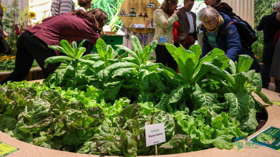 2026年德国柏林国际绿色周展览会：农业科技从牧场到未来拖拉机