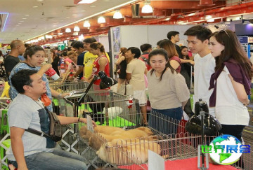 2026年泰国宠物展展位费用与申请指南