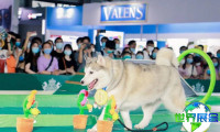 2026年上海亚洲宠物展展位费用与布局图