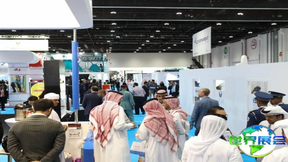 如何获取2026年迪拜宠物展的会刊？