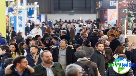 2026年英国特许经营展涵盖哪些展品类别？