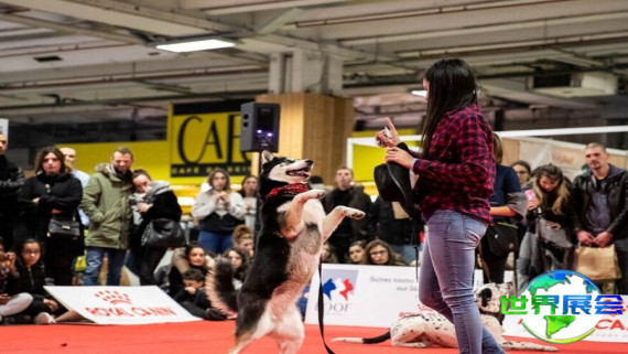 2026年法国宠物展将展出哪些产品？