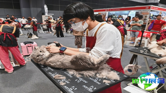 2026年新加坡猫展展位费用与布局图