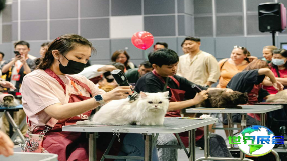2026年新加坡猫展 预先登记须知