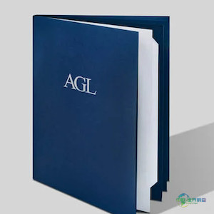 IGI以1320万美元收购美国宝石实验室