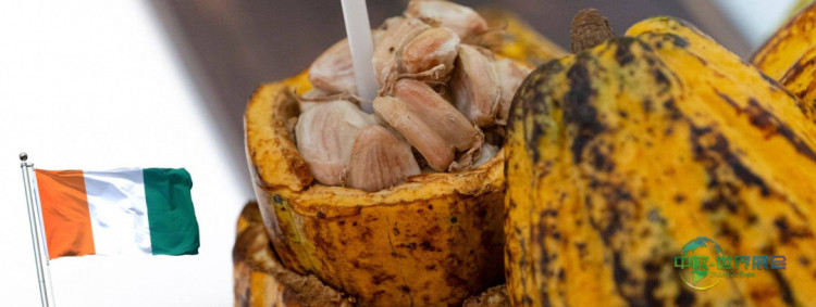 2026法国巴黎农展：科特迪瓦农业实力闪耀