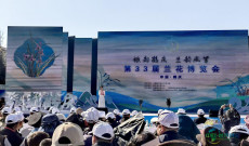 云南鹤庆：第33届兰花博览会“花”样盛宴激活县域经济