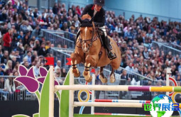 2026年德国马术展览会参观指南（日程安排与票价详情）