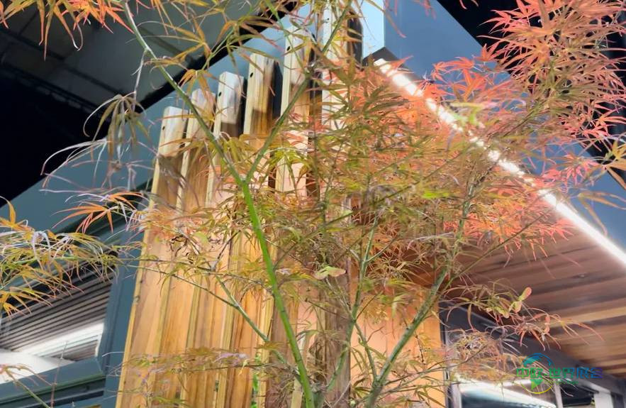 加拿大多伦多国际石材及石材技术展览会：石材与瓷砖趋势解析