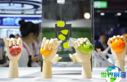 上海加盟展2026展品范围