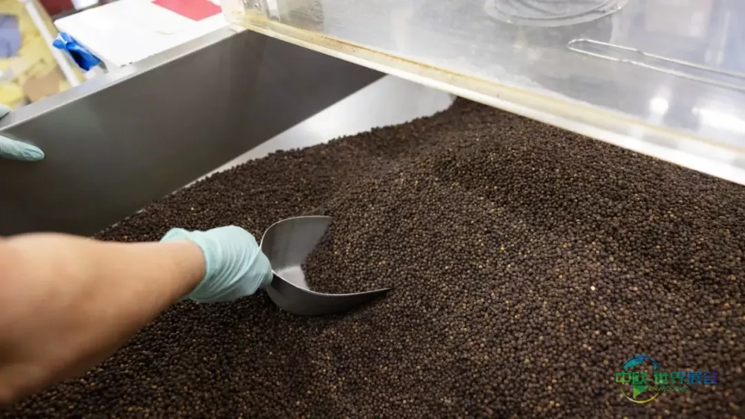 丹麦国际酒店餐饮展食品原料创新聚焦2026年Foodexpo