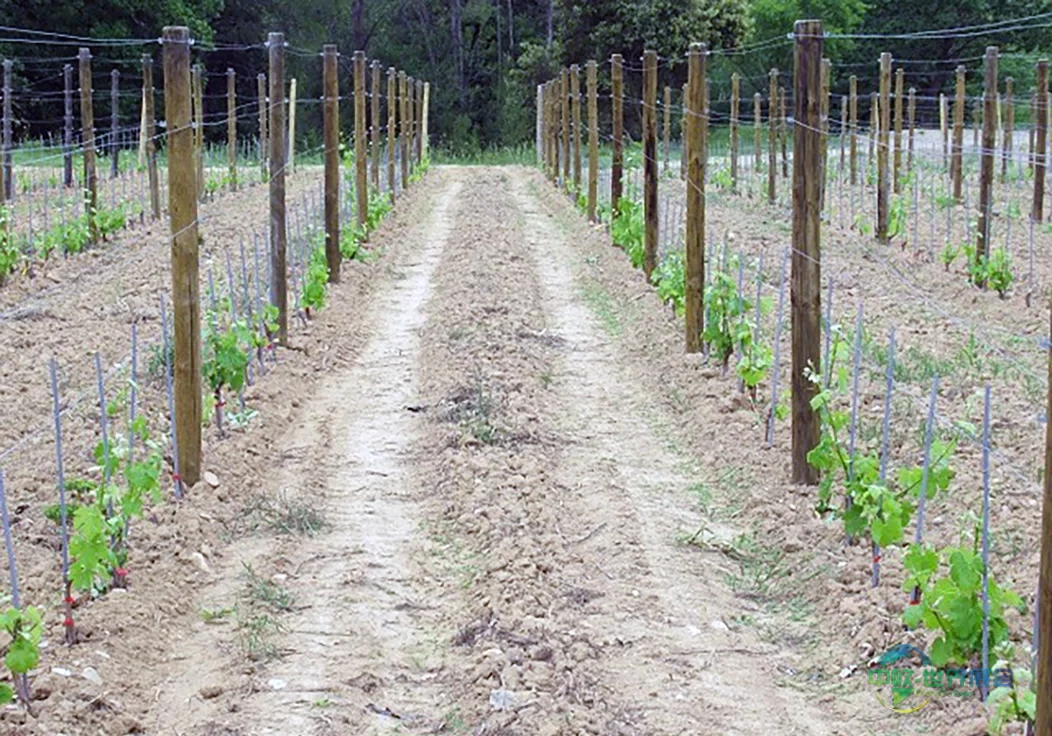 法国图卢兹ENVIROpro南西环保展：绿色创新年度盛会