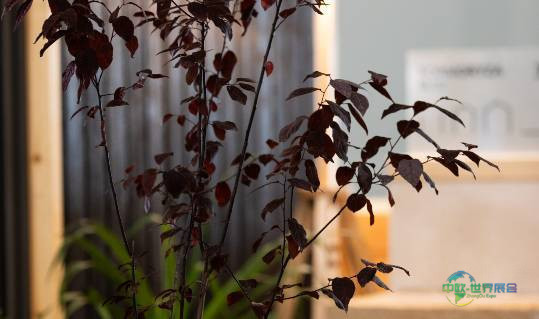 2027年​西班牙巴塞罗那国际建材展览会：建筑领域的最新趋势和发展