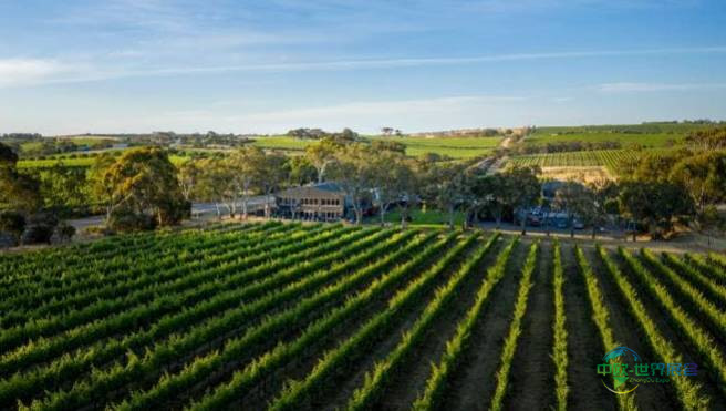 2026年澳大利亚悉尼国际食品和葡萄酒展览会：探索麦克拉伦谷的葡萄酒