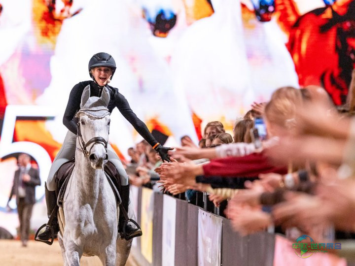 2025埃森国际马术展总结报告