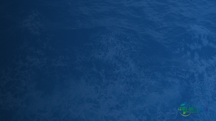 美国新奥尔良国际工作船舶展两大平台联手简化海员证件管理