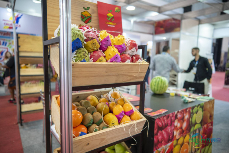 2026年巴西圣保罗国际食品展：有机食品走进日常购物车