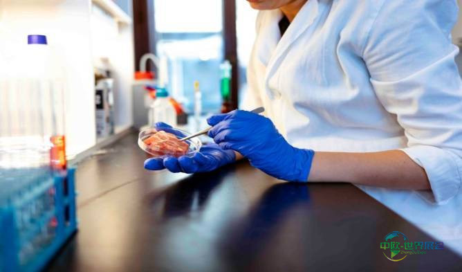 2027年德国科隆国际食品技术和机械展览会：智能肉类工厂的技术