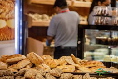 2026年智利圣地亚哥国际食品展览会：智利科技助力节约食品