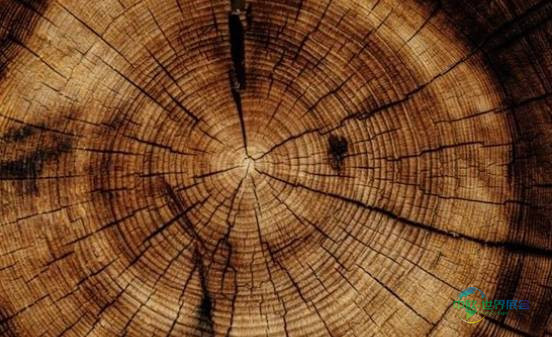 2026年法国巴黎国际包装工业展览会：认证木材和可持续包装