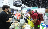 2026年泰国大麻展览会参展指引：日程安排与票务信息