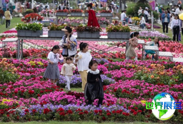 2026海宁园艺展门票购买指南