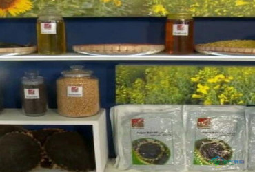 缅甸农民节种子博览会盛大揭幕