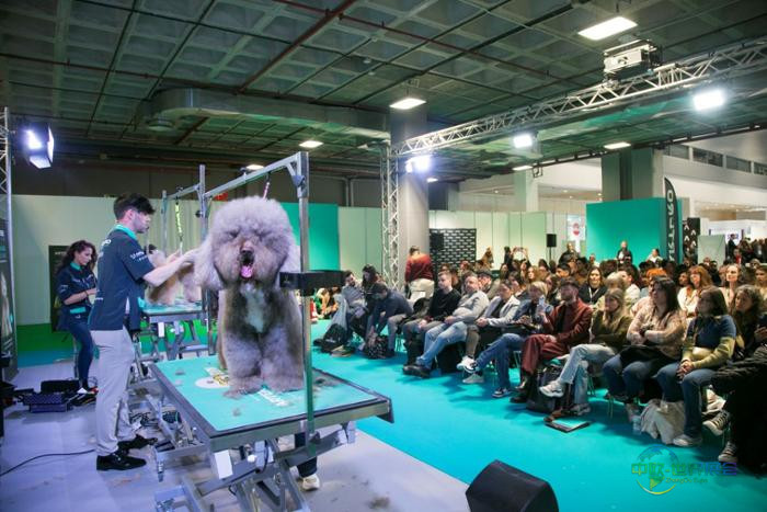 往届伊比利亚宠物展现场