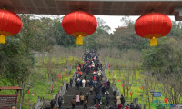 阆中“游百病”：千年习俗汇入全民健身浪潮