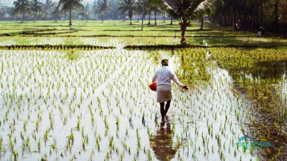 2025年德国法兰克福国际健康食品配料和天然配料展览会：天然甜味剂市场增长遇配方挑战
