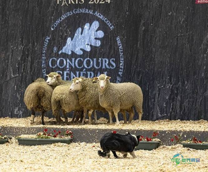 2026巴黎国际农牧业展：世代解决方案