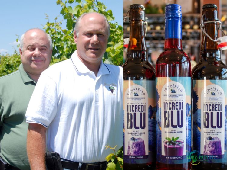 从禁酒令时期到无酒精新饮：走进托马塞洛酒庄