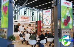 2026年荷兰自有品牌展PLAM(PLMA AMSTERDAM)票价及购票方式