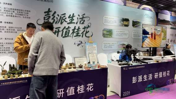 16条主题路线首次推出 成都彭州构建研学“合作网络”